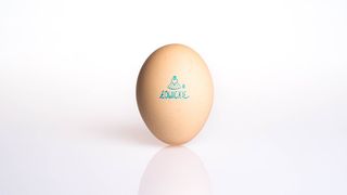 Jaja Łowickie Gold Bio-eco 10szt