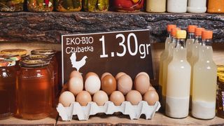 Jaja Łowickie Eco Czubatka 20szt