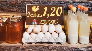 Jaja Łowickie 2-żółtka 10szt
