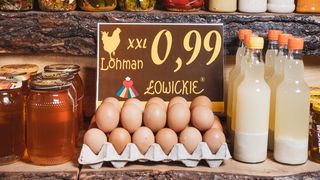 Jaja Łowickie Lohman 20szt