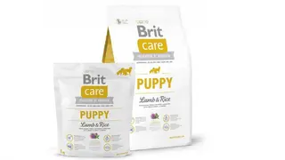 Brit Care Puppy Jagnięcina 3 Kg