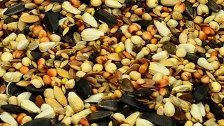 Mieszanka Ziaren I Zbóż Dla Dzikich Ptaków 500g