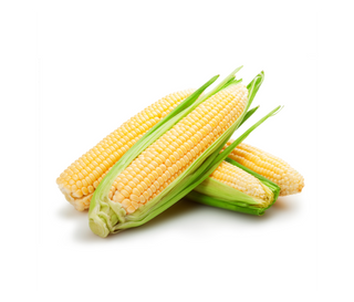 Sweet Corn
