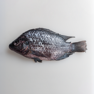 Whole Tilapia Fish, 1 Unit