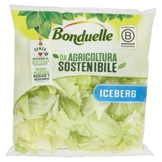 Ins.Icerberg Bonduelle 200G