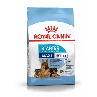 Royal Canin Maxi Starter M&b Adult Dog - 4 Kg