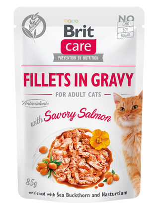 Brit Care Cat Fillets En Sauce Avec Saumon Savoureux 85 G