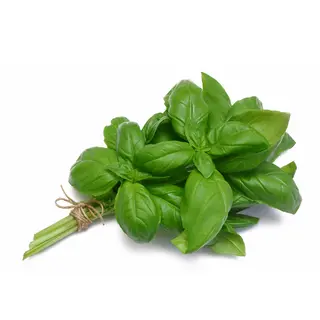 Busuioc