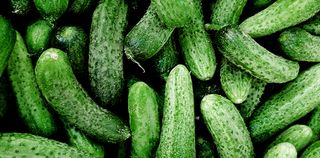 Castraveți cornișon