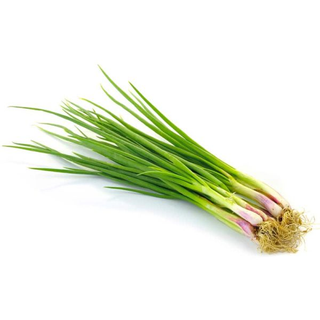 Ceapă verde