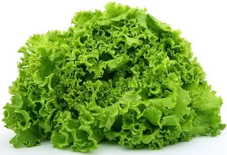 Salata lollo