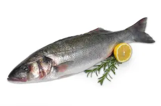 Biban de mare