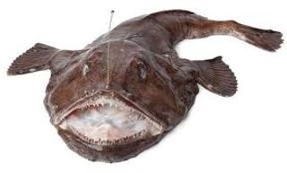 Undițar calibru 3-4.kg