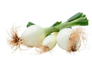 Cebolleta Bandeja Aprox 500 Gr