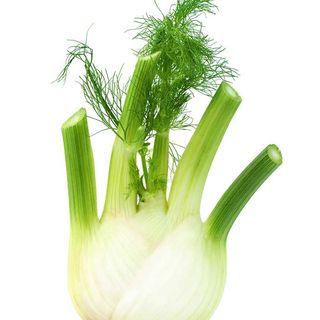 Hinojo Bdj Aprox 300 Gr