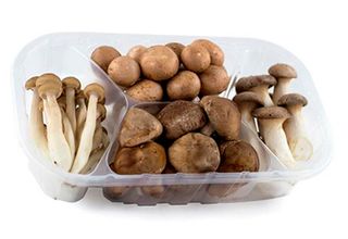 Hongos Combinado Exotico Bdj 300 Gr