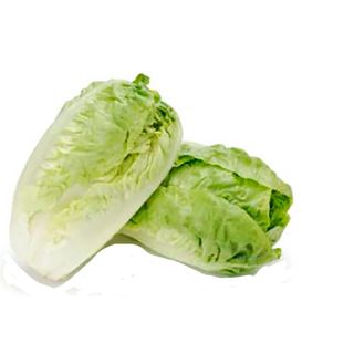 Lechuga Cogollo Corazon Bdj 6 Ud
