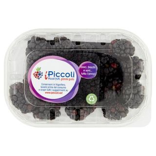 MORE CONF.GR.125- 031689