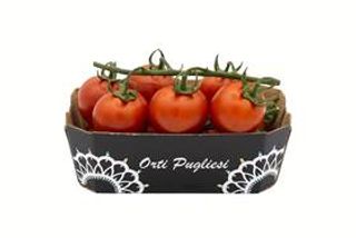 POMOD.CILIEG.ORTI PUGL.GR.250- 0333010