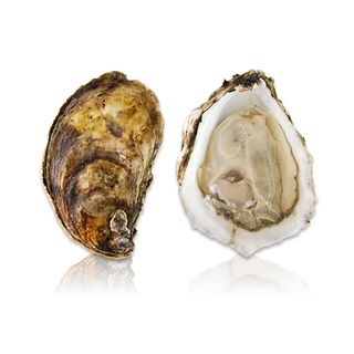 Устрицы Ostra Regal  #2