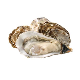 Устрица Tsarskaya (царская) #2