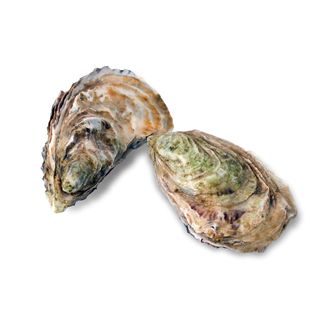 Устрицы Fine De Claire Marine (марине) # 2