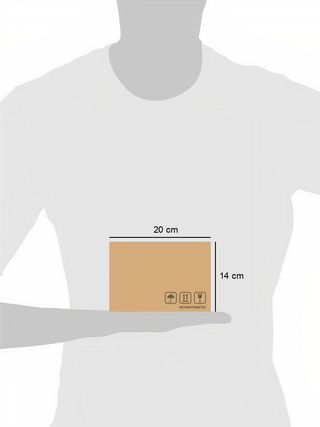 Кинни Дж.: Тентек Балақайдың Күнделігі. Родрик Жарды