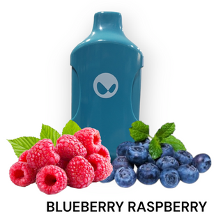 Waka Kick Blueberry Raspberry Vape, 15000 Puffs