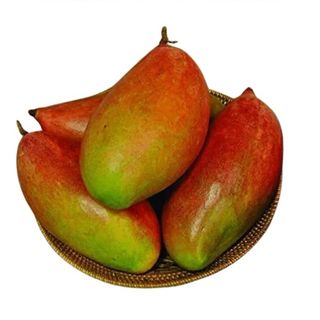 Mangue Zill Export (800g-1kg)