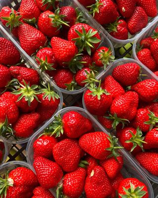 Domace jagode - pakovanje 400-500g