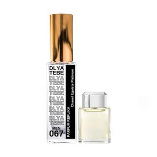 Dlya Tebe  – Chanel Egoiste Platinum  №067 - 50