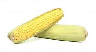Maize on cob