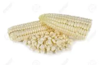 Fresh Shredded Maize