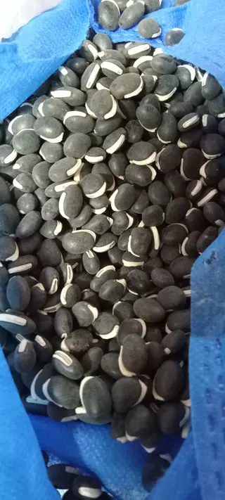 Njahe