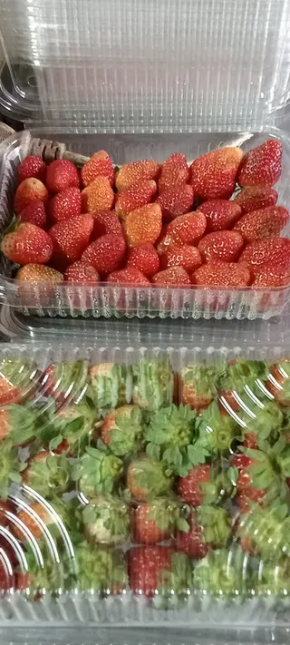 Strawberry- Imported