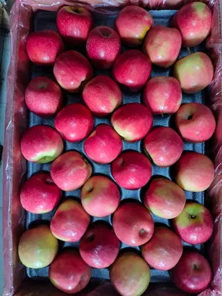 Imported Red Apple
