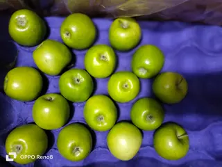 Imported Green Apple