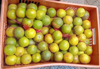 Orange Local