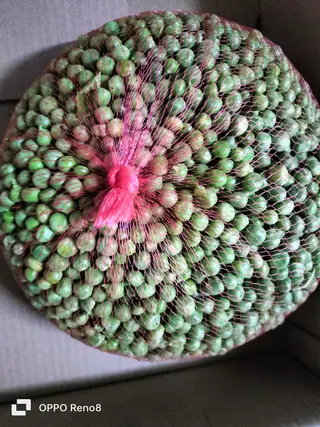 Garden Peas- shelled