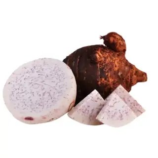 Arrowroot