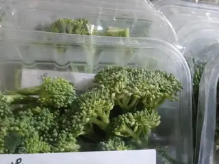 Brocolli Tender Stems