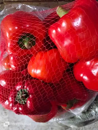 Sweet Red pepper