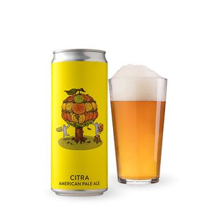 Пиво Varvar Citra Apa 0.33л