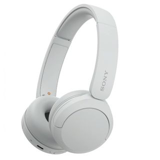 Wh-Ch520 Casq+Micro Bt Sony Blc