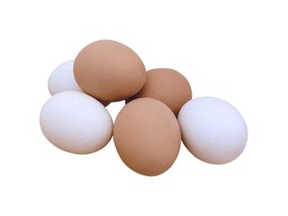 *Яйца Шымкент Кус C1 10шт/уп