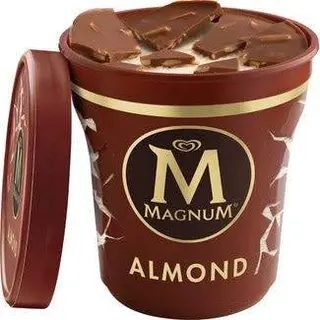 Tarrina Magnum Almond 440 Ml