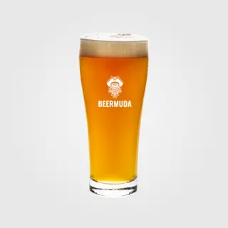 Пиво Beermuda Nordic Pilsen (1л)