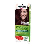 Палетт Натуралс Фарба Для Волосся 3-68 Шоколадно-каштановий