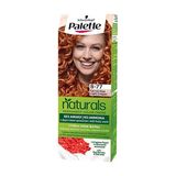 Палетт Натуралс Фарба Для Волосся 8-77 Світла Мідь