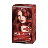 Бриліанстмц Фарба Для Волосся 842 Куба Спекотна Ніч